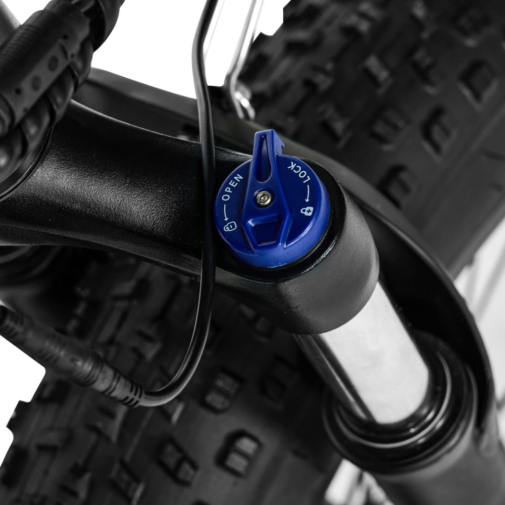 Pixar Space1 Electric Bike 48V20AH 500W | Long Range Fat Tire E-Bike