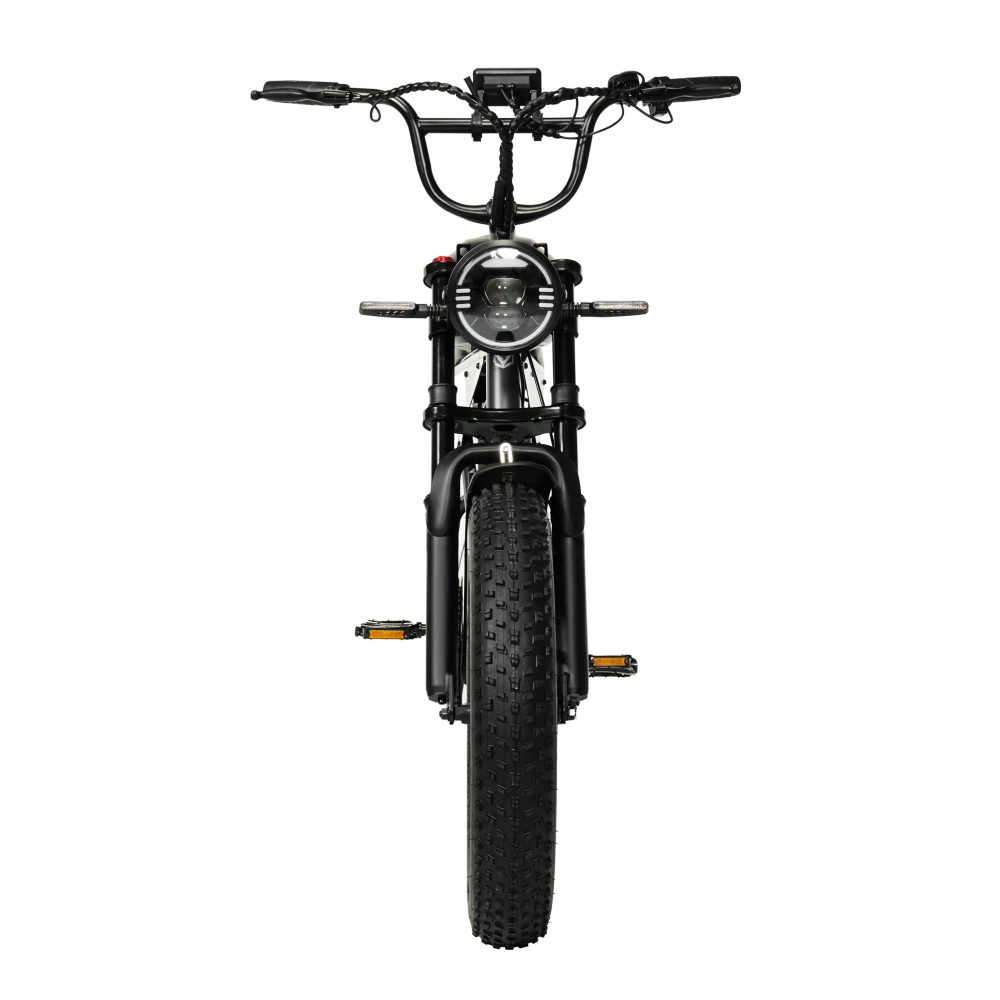 Pixar SuperV Electric Bike 500W | Long Range Fat Tire E-Bike with Dual Battery Options