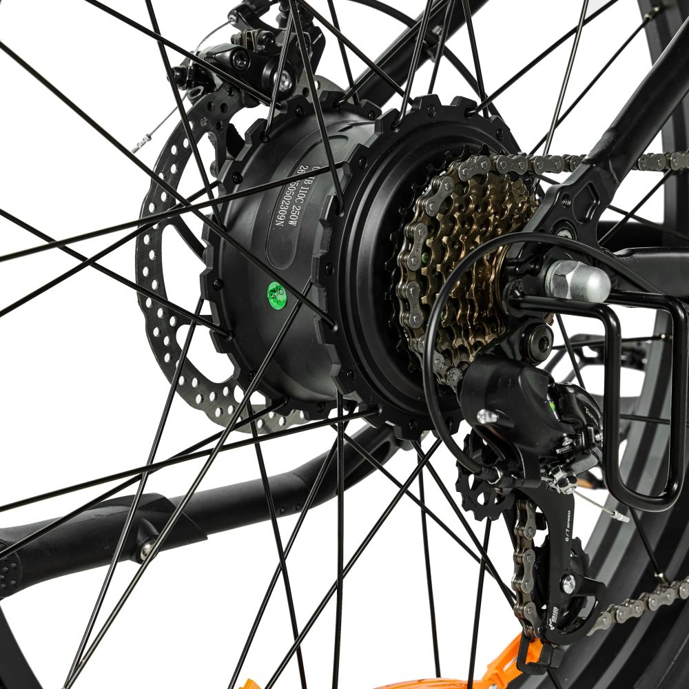 Pixar Space1 Electric Bike 48V20AH 500W | Long Range Fat Tire E-Bike