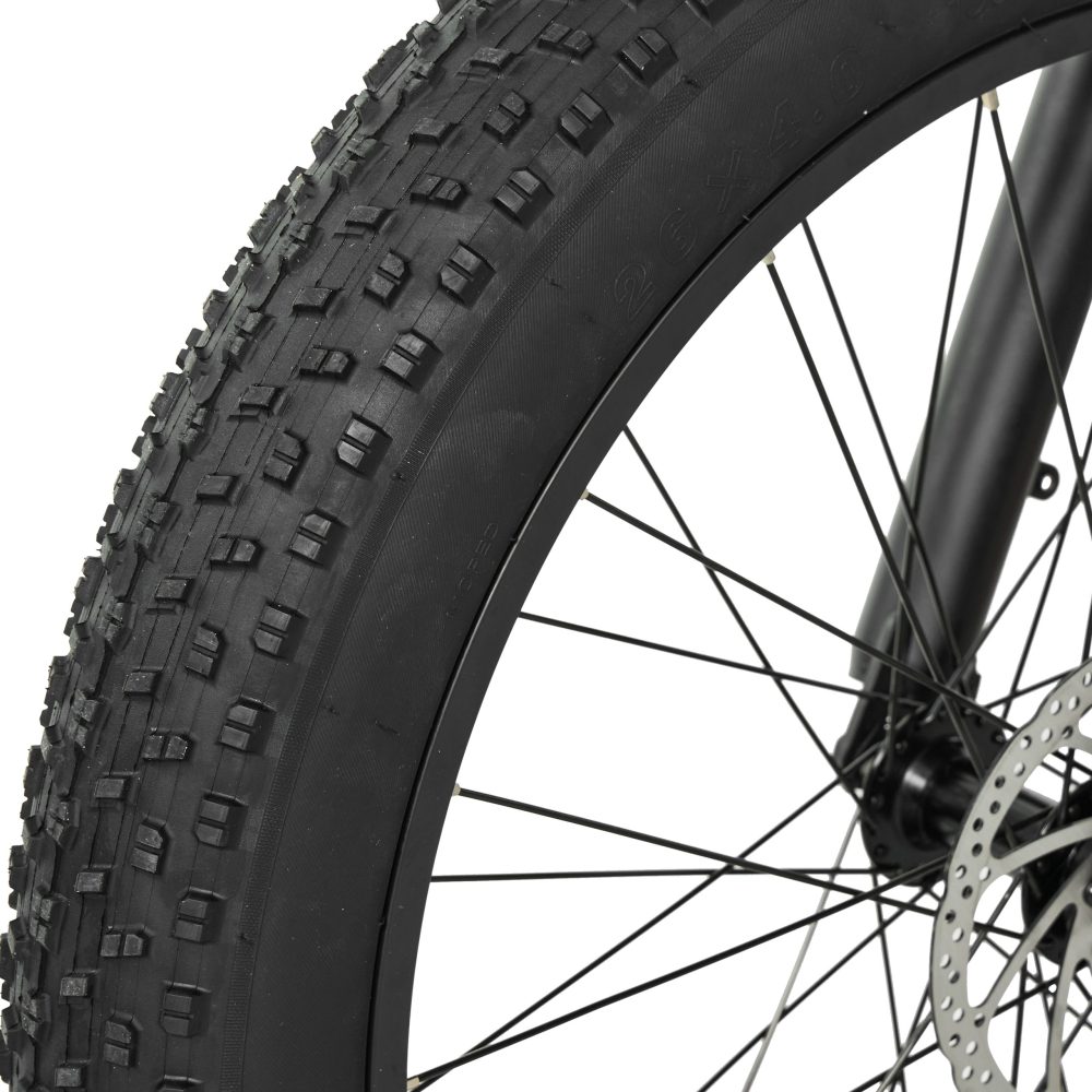 Pixar Space1 Electric Bike 48V20AH 500W | Long Range Fat Tire E-Bike