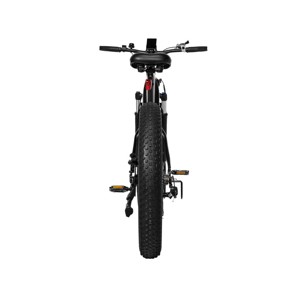 Pixar Space1 Electric Bike 48V20AH 500W | Long Range Fat Tire E-Bike