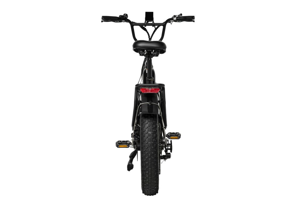 Pixar Ride1 Electric Bike 500W | Powerful City & Off-Road E-Bike