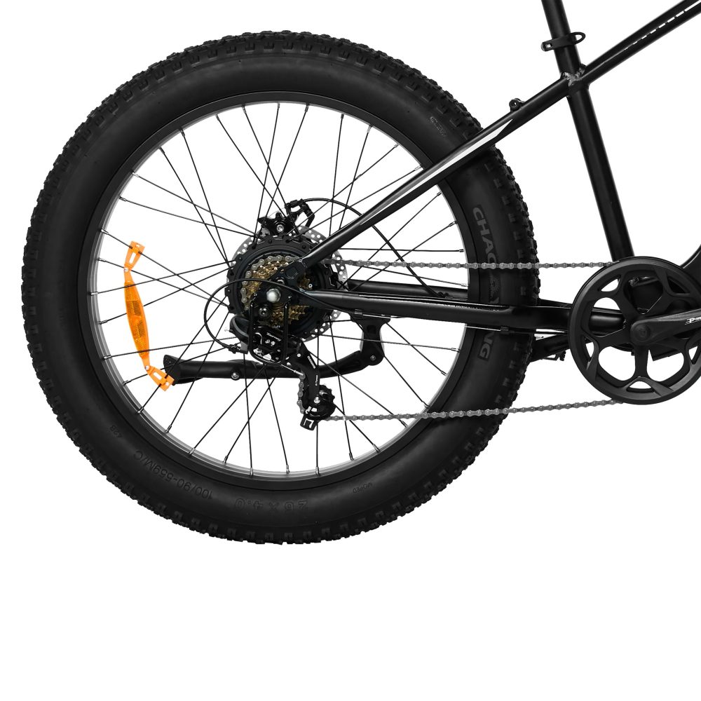Pixar Space1 Electric Bike 48V20AH 500W | Long Range Fat Tire E-Bike